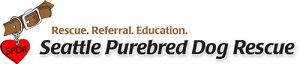 SPDR logo