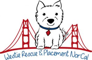 Westie Rescue and Placement of NorCal