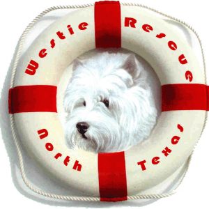 Westie Rescue North Texas logo