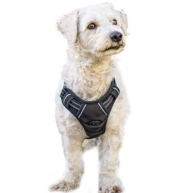 Rabbitgoo No Pull Dog Harness